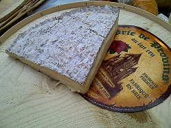 Brie de Provins