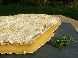 Brie sec Noir